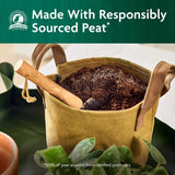 Miracle-Gro Organic Organic All Purpose Potting Mix 8 qt