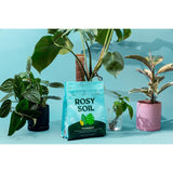 Rosy Soil Organic Indoor Plant Potting Soil 4 qt