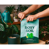 Rosy Soil Organic Indoor Plant Potting Soil 4 qt