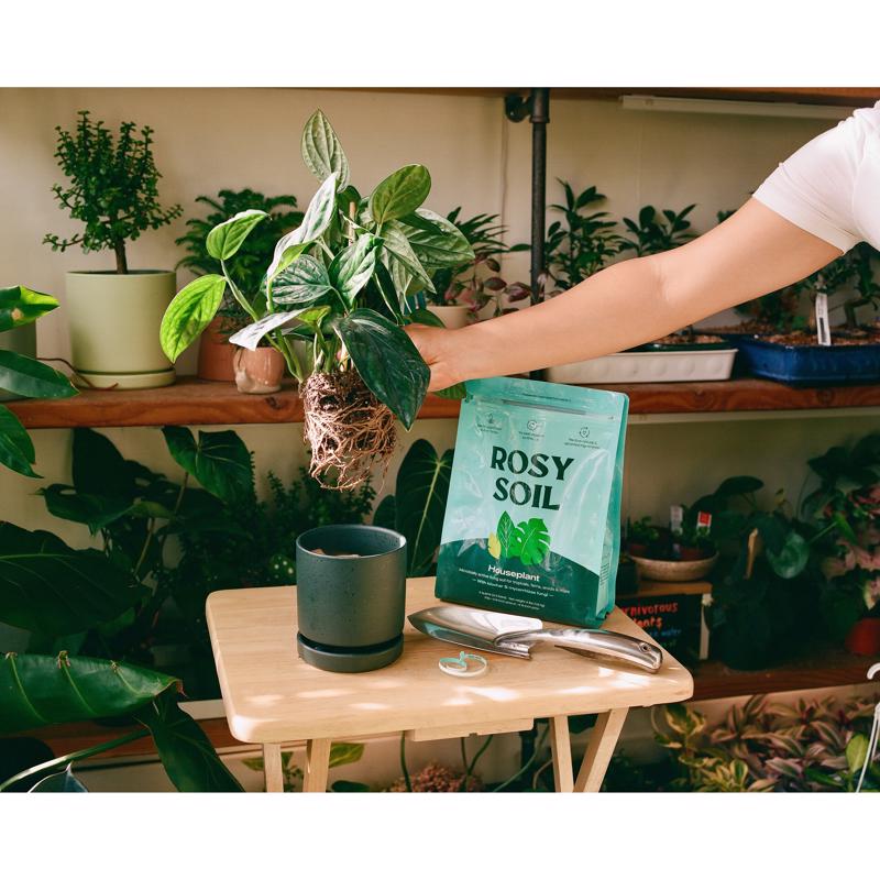 Rosy Soil Organic Indoor Plant Potting Soil 4 qt