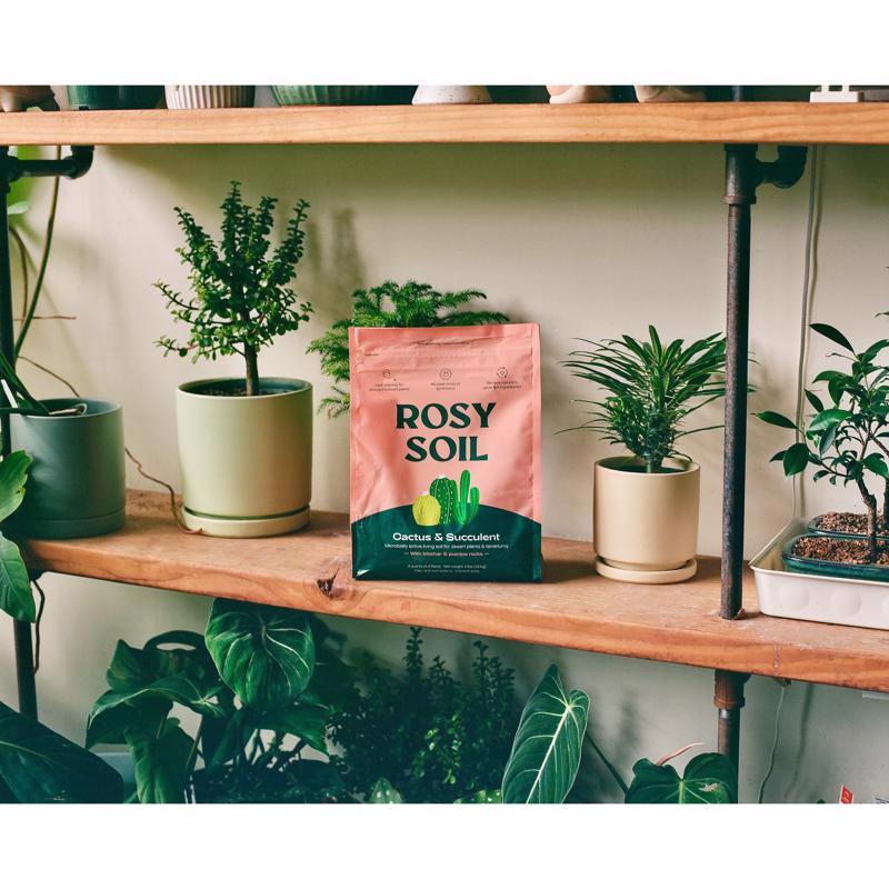 Rosy Soil Organic Cacti and Succulent Soil 4 qt