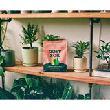 Rosy Soil Organic Cacti and Succulent Soil 4 qt