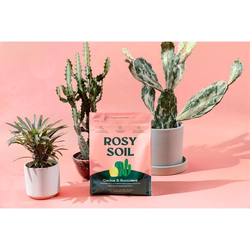 Rosy Soil Organic Cacti and Succulent Soil 4 qt