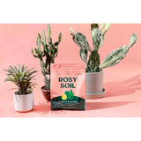 Rosy Soil Organic Cacti and Succulent Soil 4 qt