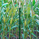 Ironridge 7 ft. H X 4 in. W X 1 in. L Painted Green Rail Steel / Billet Studded T-Post