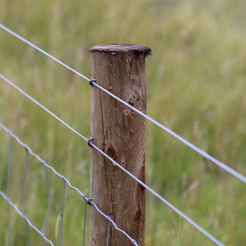Ironridge 0.0453 in. H X 2640 ft. L Galvanized Steel Electric Fencing Silver
