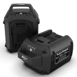 BATTERY LTHM-ION 60V MAX