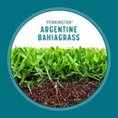 Pennington Bahia Grass Full Sun Grass Seed 3 lb