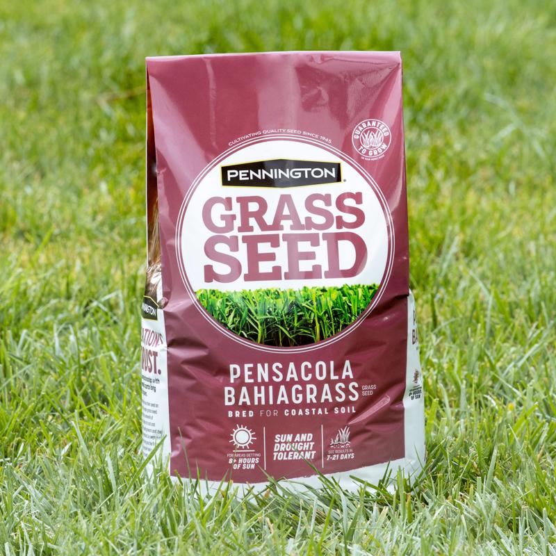 Pennington Pensacola Bahiagrass Full Sun Grass Seed 3 lb