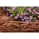 Rain Bird Polyethylene Drip Irrigation Emitter Tubing 1/2 in. D X 250 ft. L