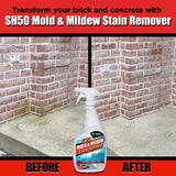 AL-NEW Mold and Mildew Stain Remover 24 oz