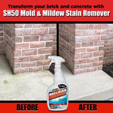 AL-NEW Mold and Mildew Stain Remover 24 oz