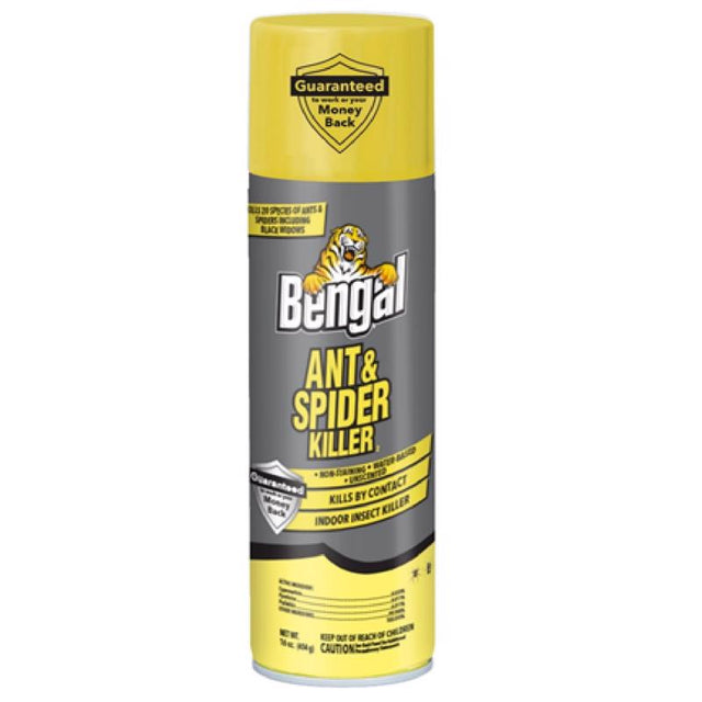 Bengal Spider & Ant Killer Aerosol 16 oz