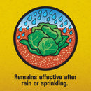 Corry's Slug and Snail Killer 8 lb