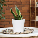 L&G Solutions 5.7 in. H X 6 in. W X 6 in. D X 6 in. D Resin Planter White