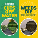 Spruce Snap & Spray Refill Broadleaf Weed and Vegetation Killers RTU Liquid 64 fl. oz.