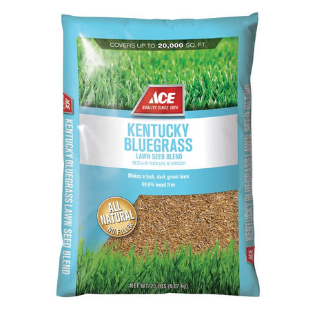 Ace Kentucky Bluegrass Full Sun Grass Seed 20 lb