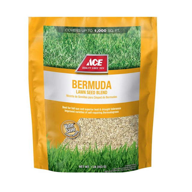 Ace Bermuda Grass Full Sun Grass Seed 1 lb