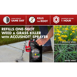 Spectracide Weed and Grass Weed and Vegetation Killers Concentrate 1 gal
