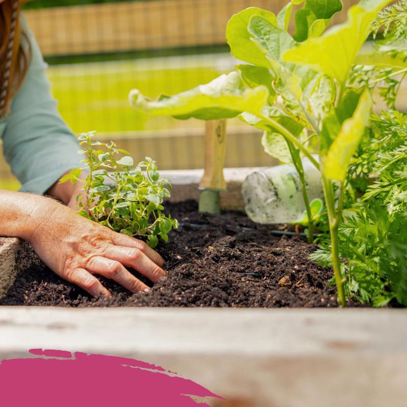Kellogg Organic All Purpose Raised Bed Mix 2 cu ft