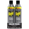 Raid Wasp and Hornet Killer Aerosol 17.5 oz