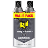 Raid Wasp and Hornet Killer Aerosol 17.5 oz