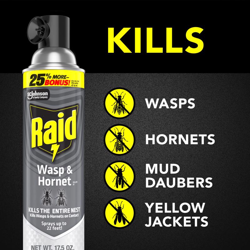 Raid Wasp and Hornet Killer Aerosol 17.5 oz