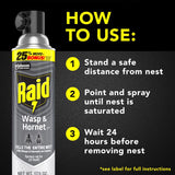 Raid Wasp and Hornet Killer Aerosol 17.5 oz