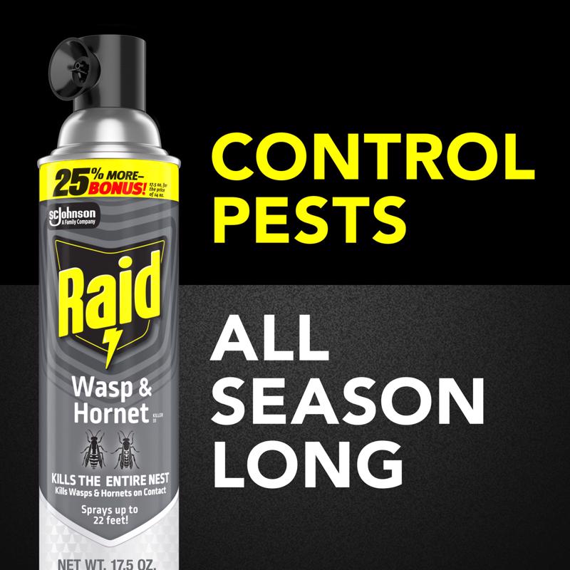 Raid Wasp and Hornet Killer Aerosol 17.5 oz