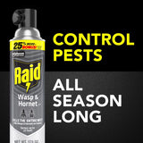 Raid Wasp and Hornet Killer Aerosol 17.5 oz