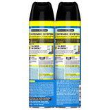 Raid Flying Insect Killer Aerosol 20 oz