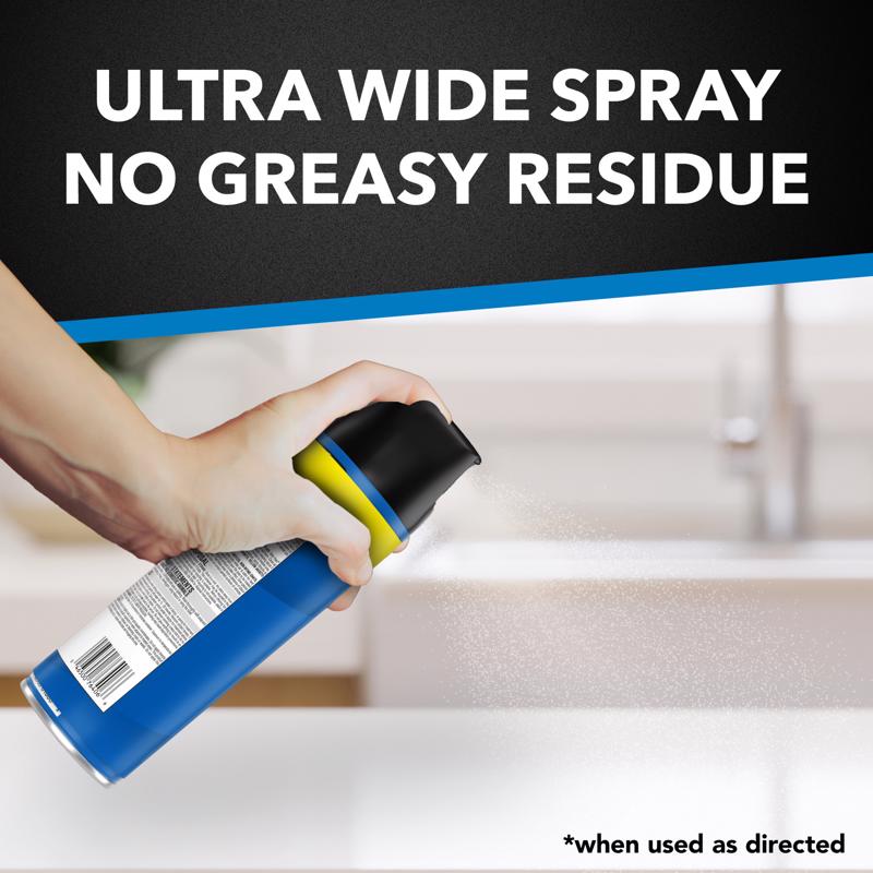Raid Flying Insect Killer Aerosol 20 oz