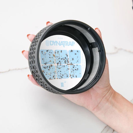 DynaTrap Insect Trap