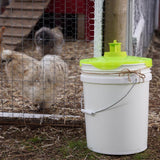 RESCUE! Bucket Top Fly Trap