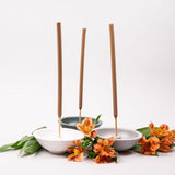 Murphy's Naturals Insect Repellent Incense Holder For Mosquitoes