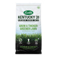 Scotts Kentucky 31 Full Sun/Light Shade Grass Seed Mix