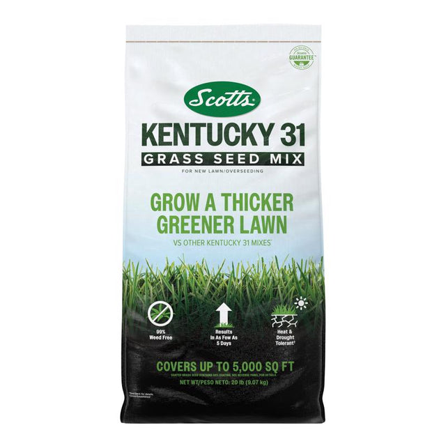 Scotts Kentucky 31 Full Sun/Light Shade Grass Seed Mix
