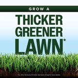 Scotts Kentucky 31 Full Sun Grass Seed Mix 40 lb