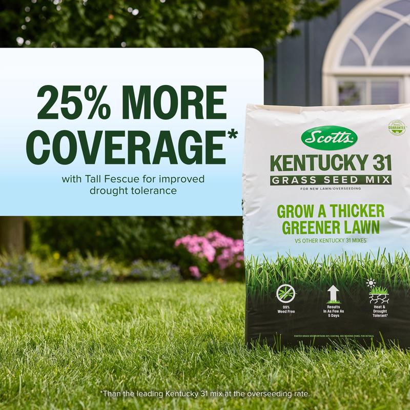 Scotts Kentucky 31 Full Sun Grass Seed Mix 40 lb
