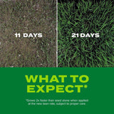 Scotts Turf Builder Tall Fescue Grass Sun or Shade Grass Seed and Fertilizer
