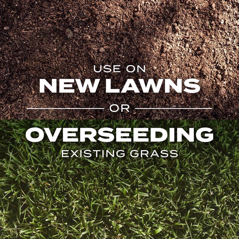 Scotts Turf Builder Tall Fescue Grass Sun or Shade Grass Seed and Fertilizer