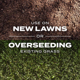 Scotts Turf Builder Tall Fescue Grass Sun or Shade Grass Seed and Fertilizer