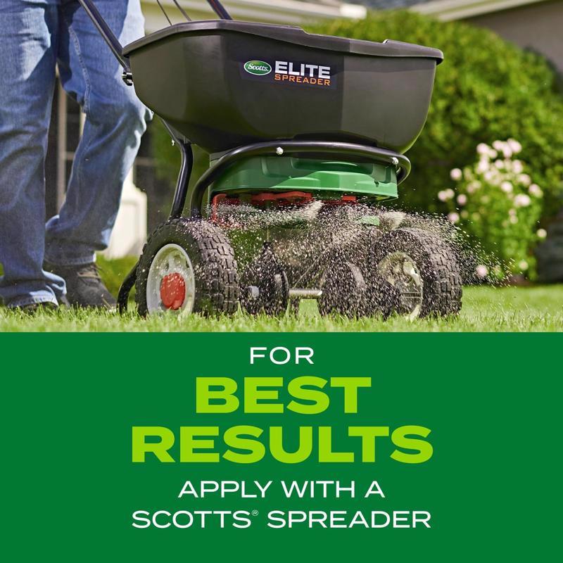 Scotts Turf Builder Tall Fescue Grass Sun or Shade Grass Seed and Fertilizer