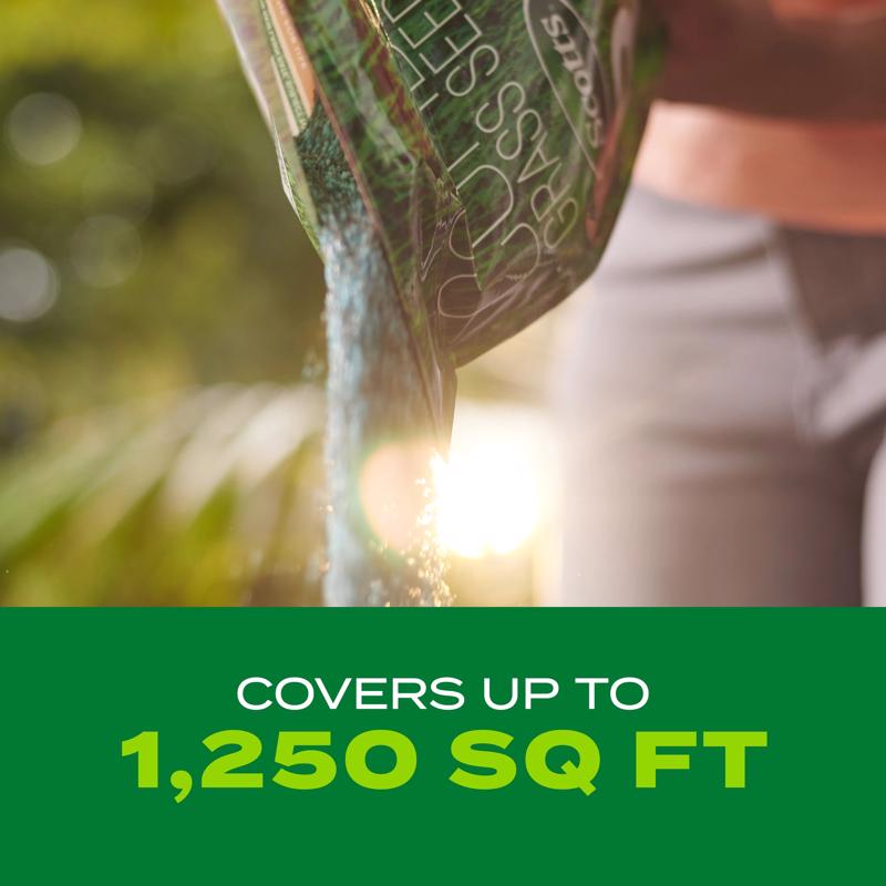 Scotts Turf Builder Bermuda Grass Sun or Shade Grass Seed and Fertilizer