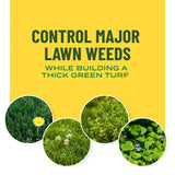 Scotts Weed & Feed Lawn Food For Multiple Grass Types 2000 sq ft
