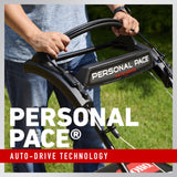 Toro 21485CA 22 in. 163 cc Gas Lawn Mower