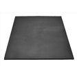 Red Barn 36 in. W X 48 in. L Black Rubber Utility Mat