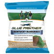 Jonathan Green Blue Panther Kentucky Bluegrass Partial Shade/Sun Grass Seed 3 lb