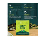 Rosy Soil Organic Soil Plant Food 4 qt