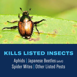BioAdvanced Insect Disease & Mite Control Spray 24 oz